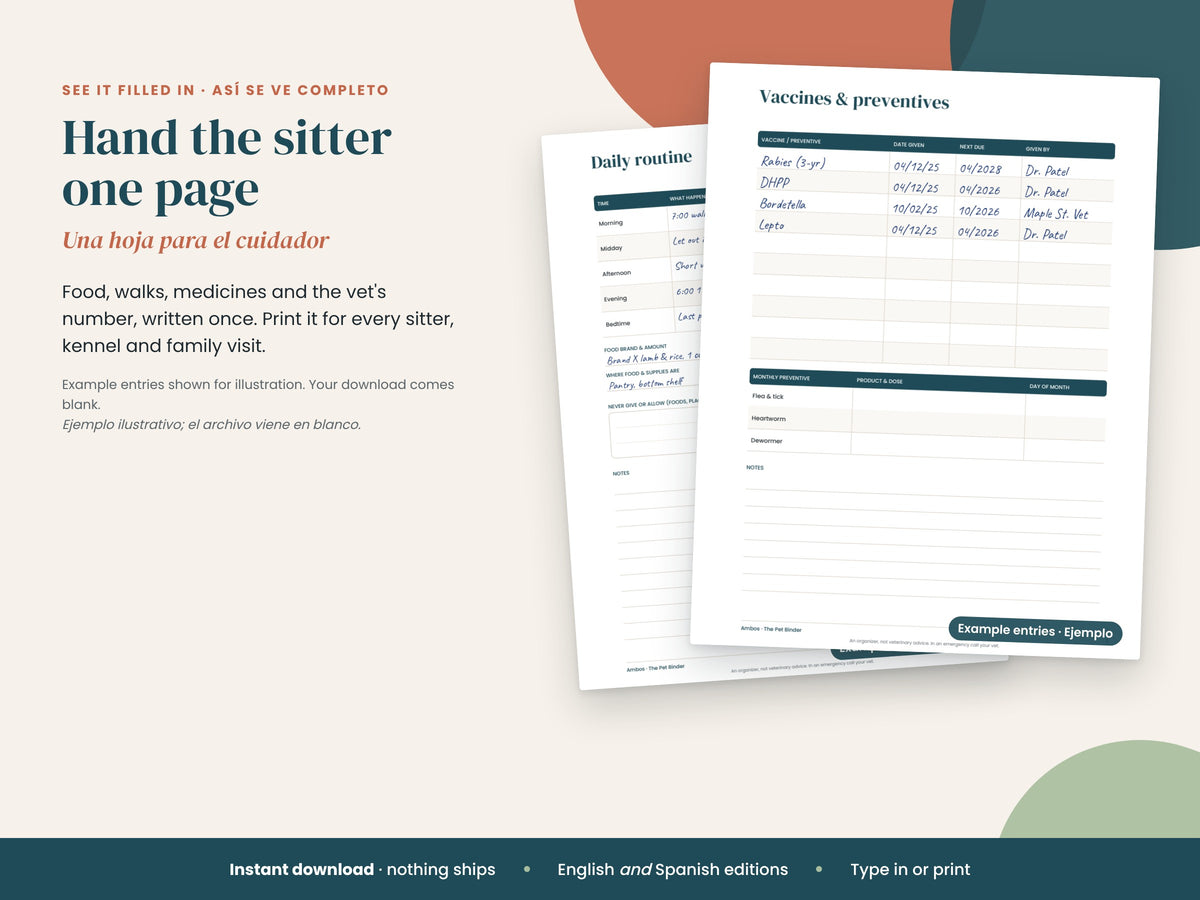 Vaccines and daily routine pages with example entries